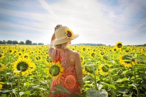 woman with her back to the camera standing in a field of sunflowers