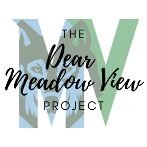 Meadow View Project