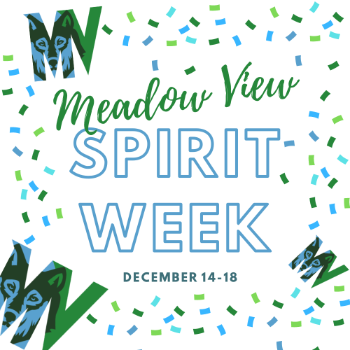 Meadow view spirit week