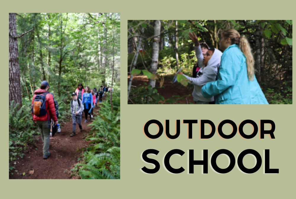 Outdoor School logo